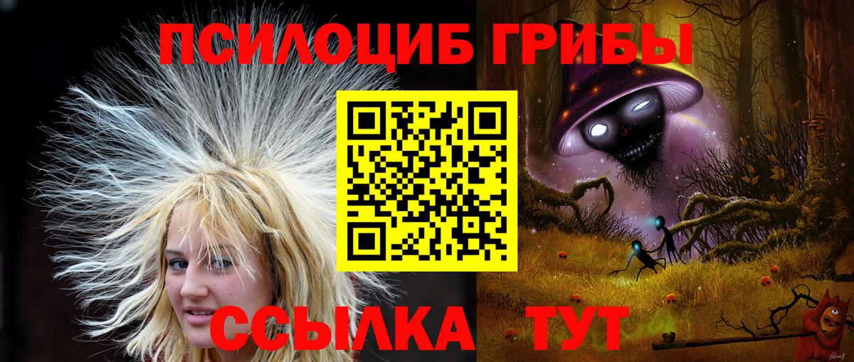 Галлюциногенные грибы прущие грибы  наркота  Галлюциногенные грибы Magic Shrooms  Дзержинск  Вход с VPN 